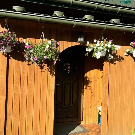 Holiday home карпатське сяйво Slavske