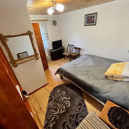 карпатське сяйво Holiday home Slavske