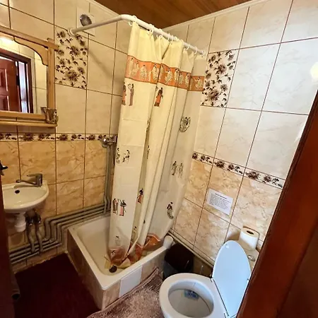 Holiday home карпатське сяйво Slavske