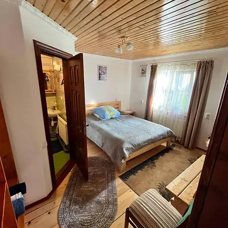 Holiday home карпатське сяйво Slavske