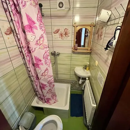 карпатське сяйво Slavske