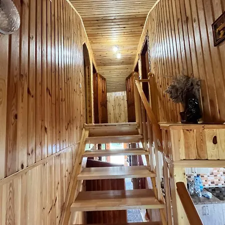 карпатське сяйво Holiday home